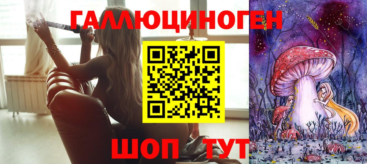 Псилоцибиновые грибы Psilocybe Владивосток